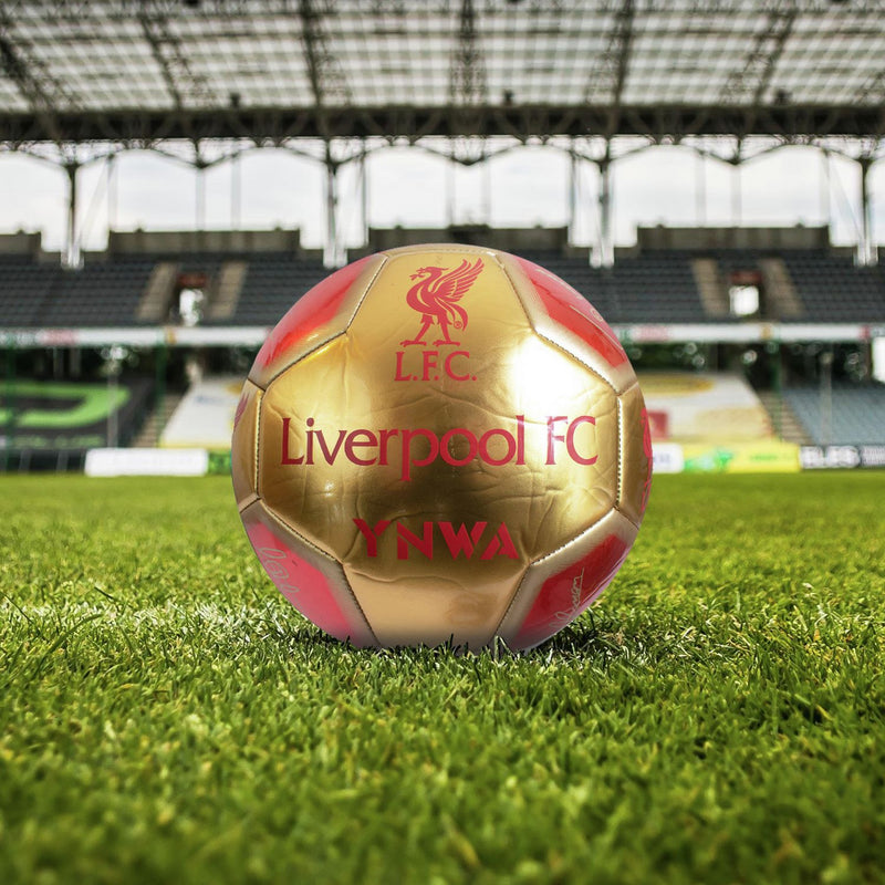 Hy-Pro Liverpool FC Signature football size 5, UK version