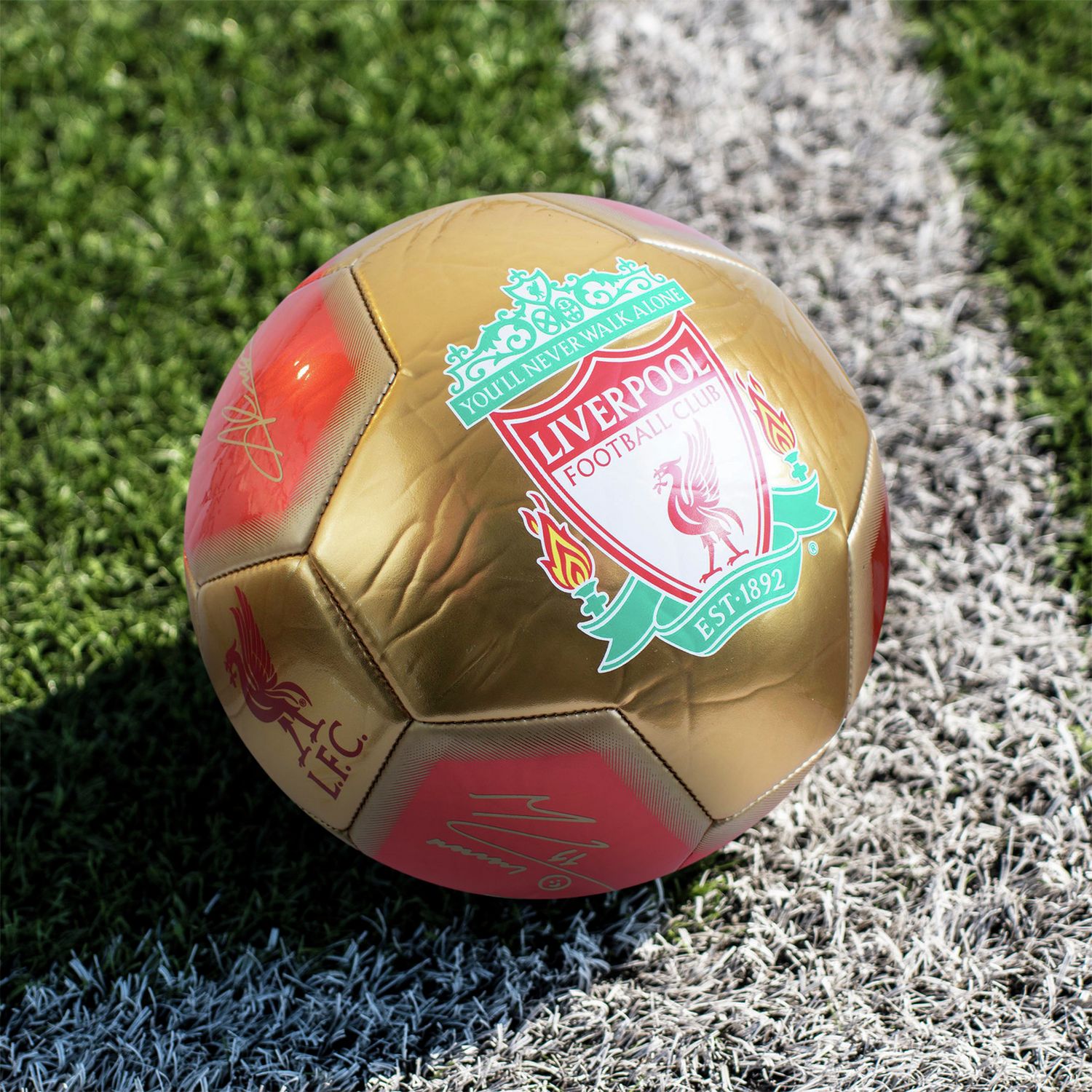 Hy-Pro Liverpool FC Signature football size 5, UK version