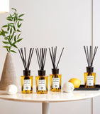 Acqua di Parma La Casa Sul Lago reed diffuser 180ml - British product