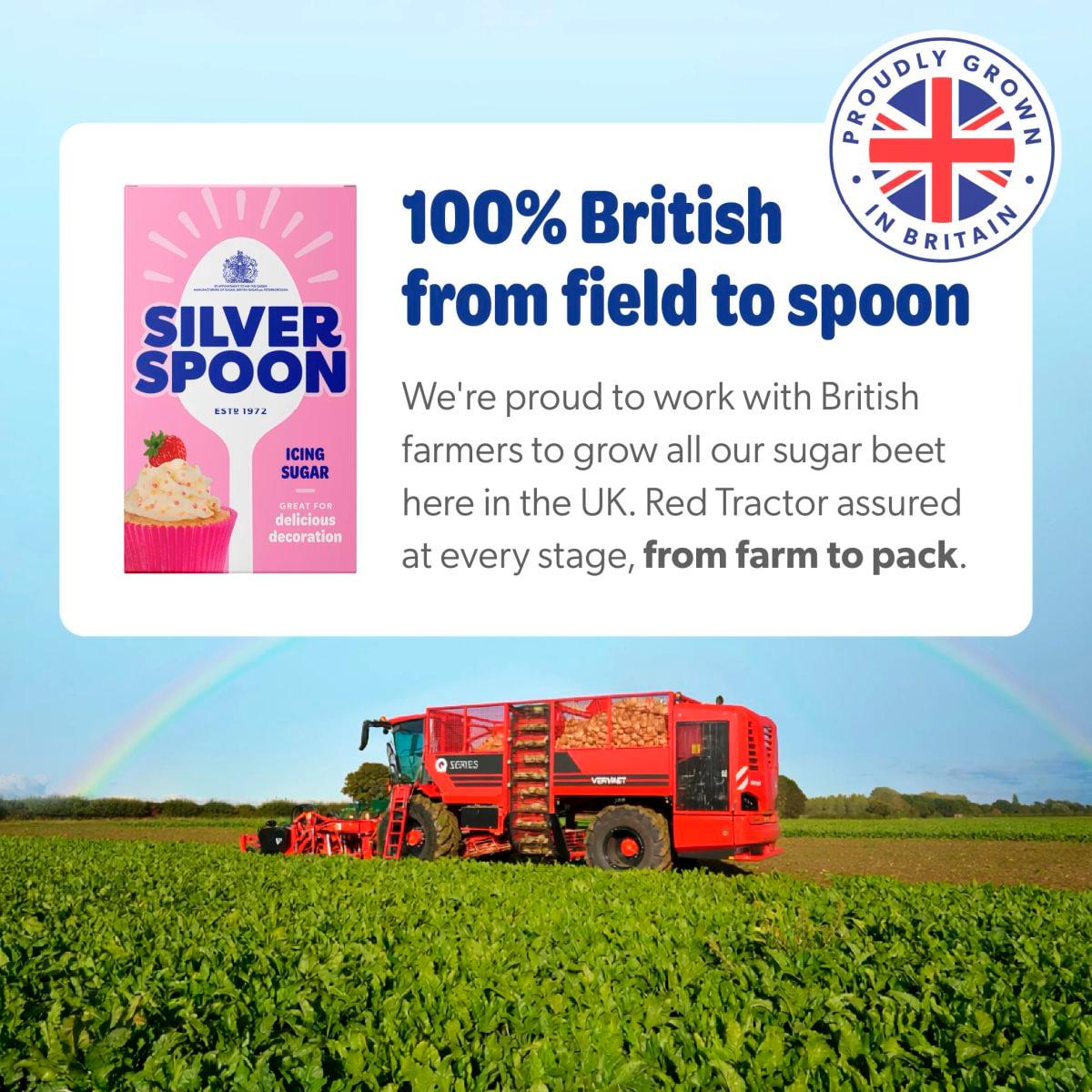 Silver Spoon Icing Sugar 500g bag purchased from the UK (British brand)