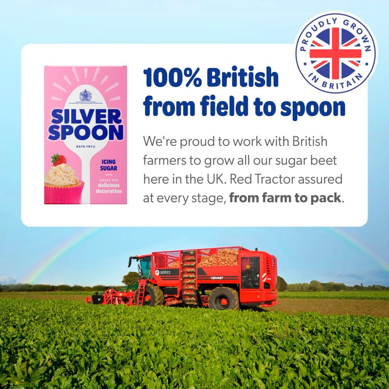Silver Spoon Icing Sugar 500g bag purchased from the UK (British brand)