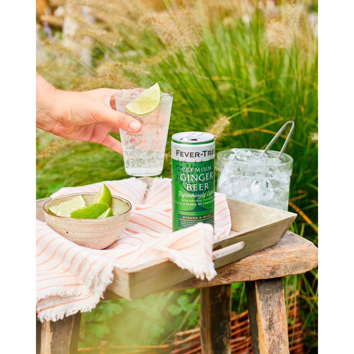 Fever-Tree Premium Ginger Beer 4x250ml - British product
