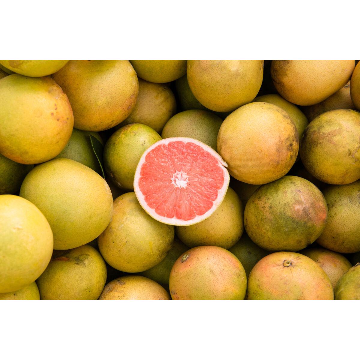 Fever-Tree Pink Grapefruit Soda 6 x 150ml - British product