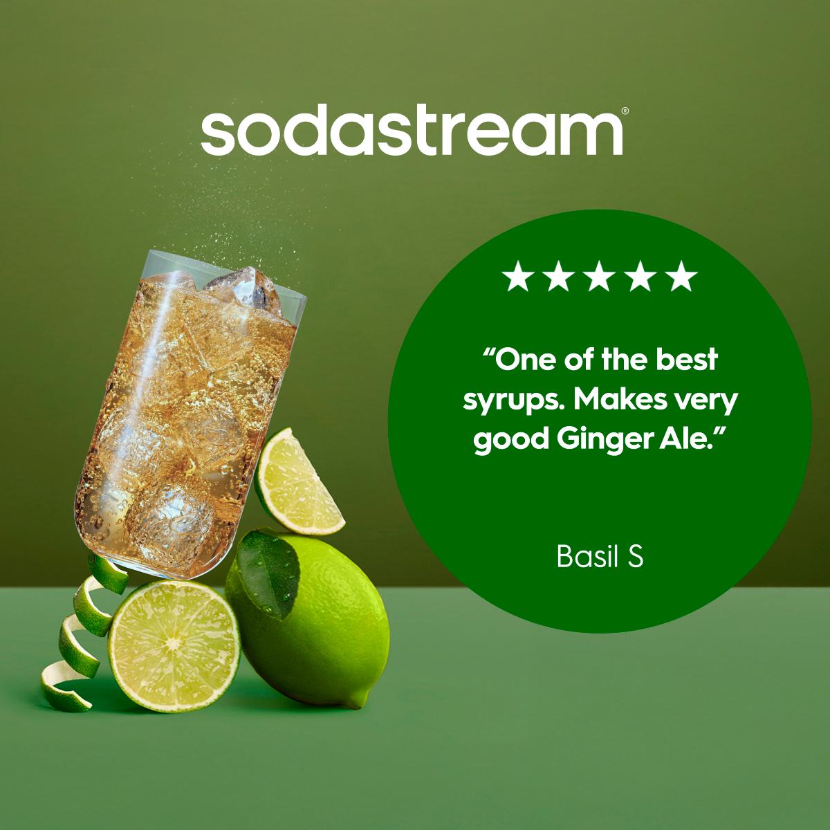 Sodastream Classics ginger ale drink mix 440ml - British product