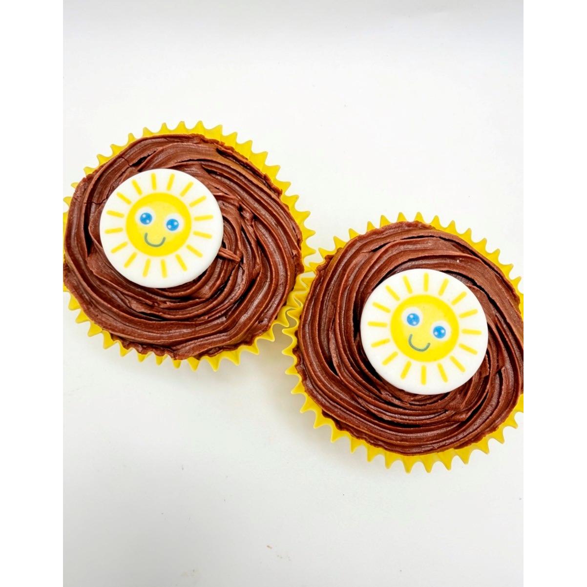 Emma's Country Cakes handmade cupcakes two pack, UK version