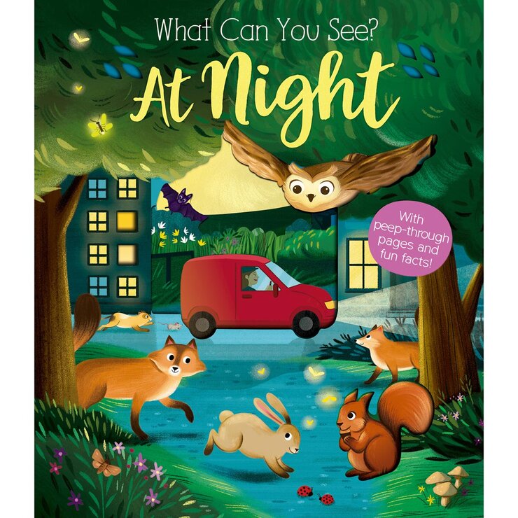 Kate Ware What Can You See board book, UK version