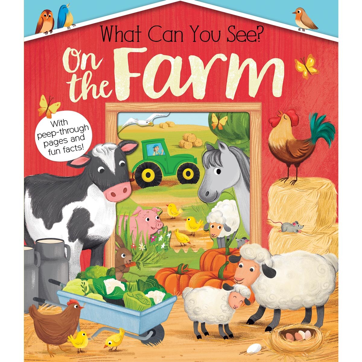 Kate Ware What Can You See board book, UK version