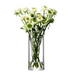 LSA International Glass Column Vase 28cm, UK version
