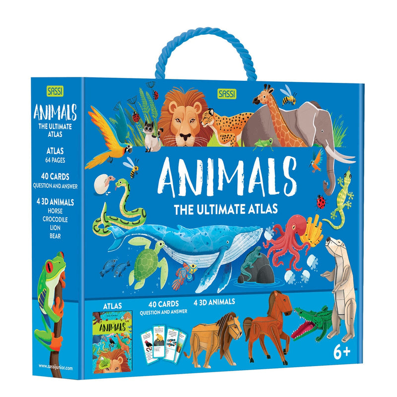 Children's interactive atlas set with 40 cards and 4 models, imported from the UK
