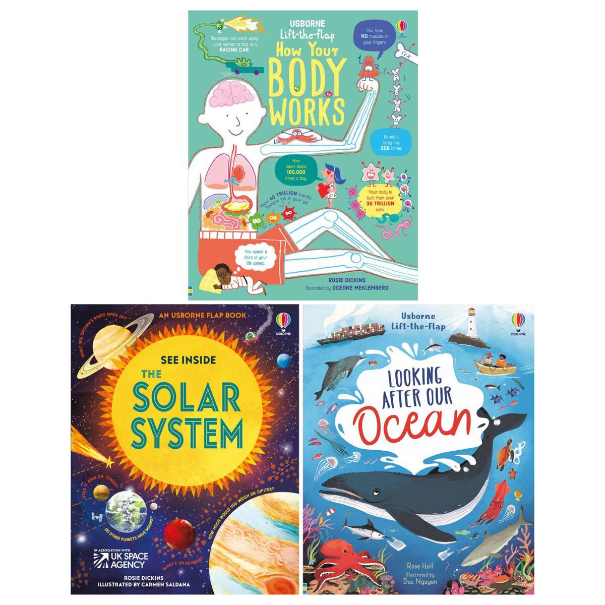 Lift the flap children's book set 6+ years (British brand)