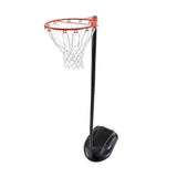 Lifetime 10ft (3.05 m) Height Adjustable Portable Netball Goal GOODS Costco UK