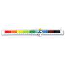 Lego 2.0 Ruler With Minifigure