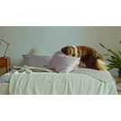 Petcube Bites 2 Lite smart pet camera, imported from the UK