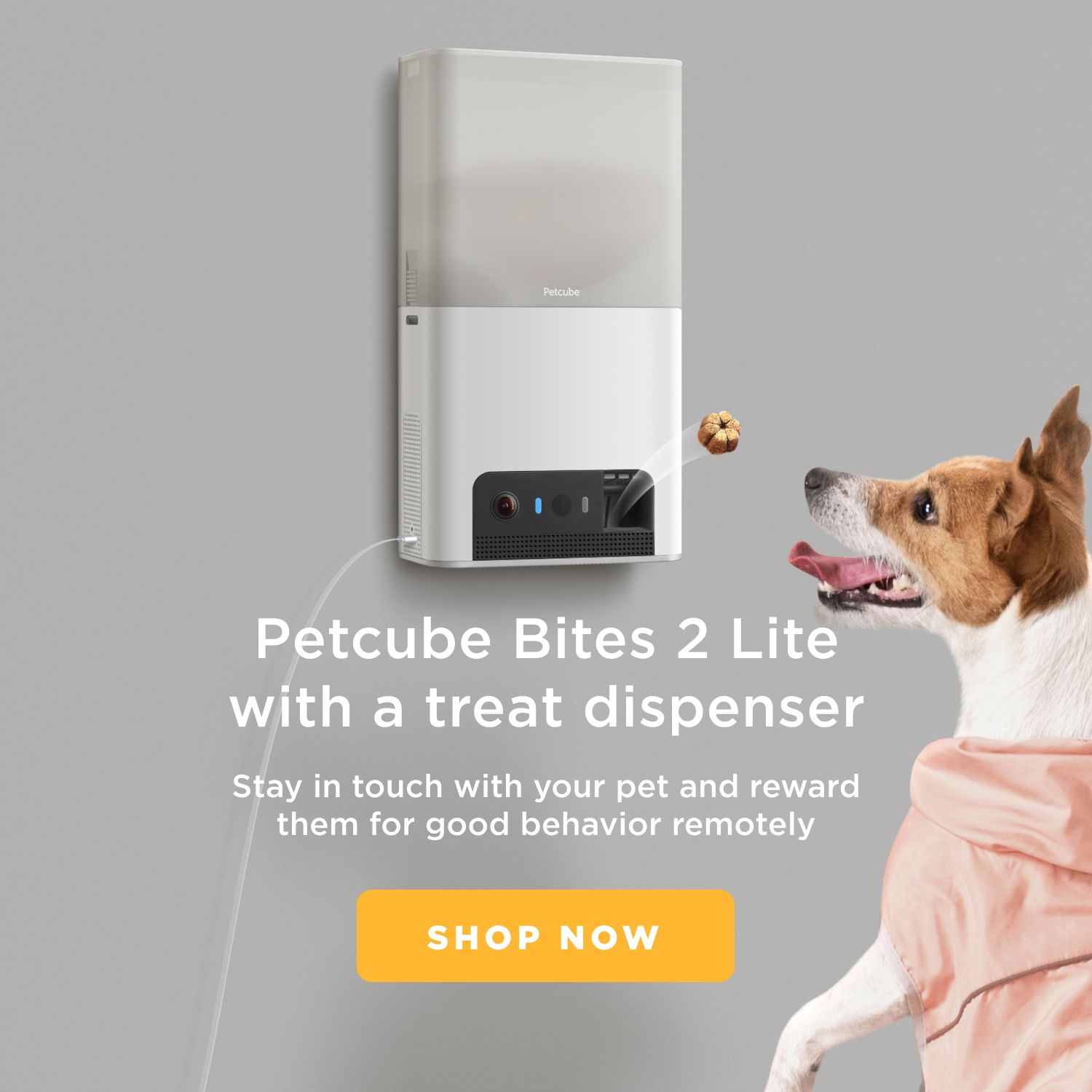 Petcube Bites 2 Lite smart pet camera, imported from the UK