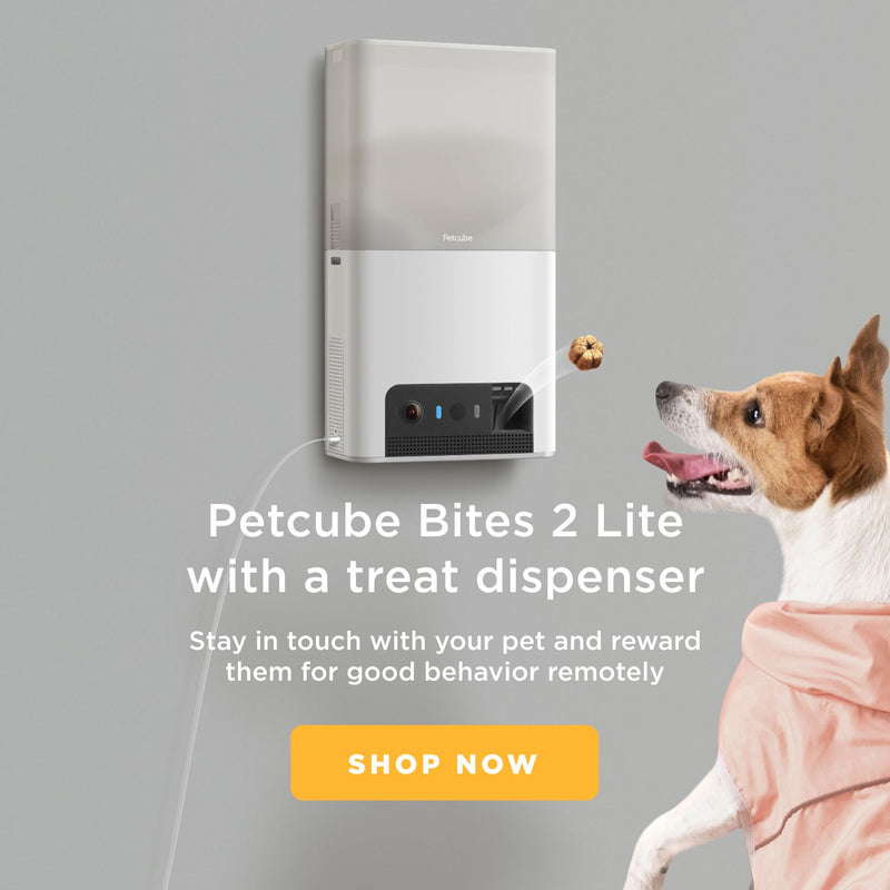 Petcube Bites 2 Lite smart pet camera, imported from the UK