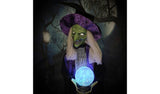 Premier Decorations Halloween Witch & Magic Ball Decoration GOODS Argos