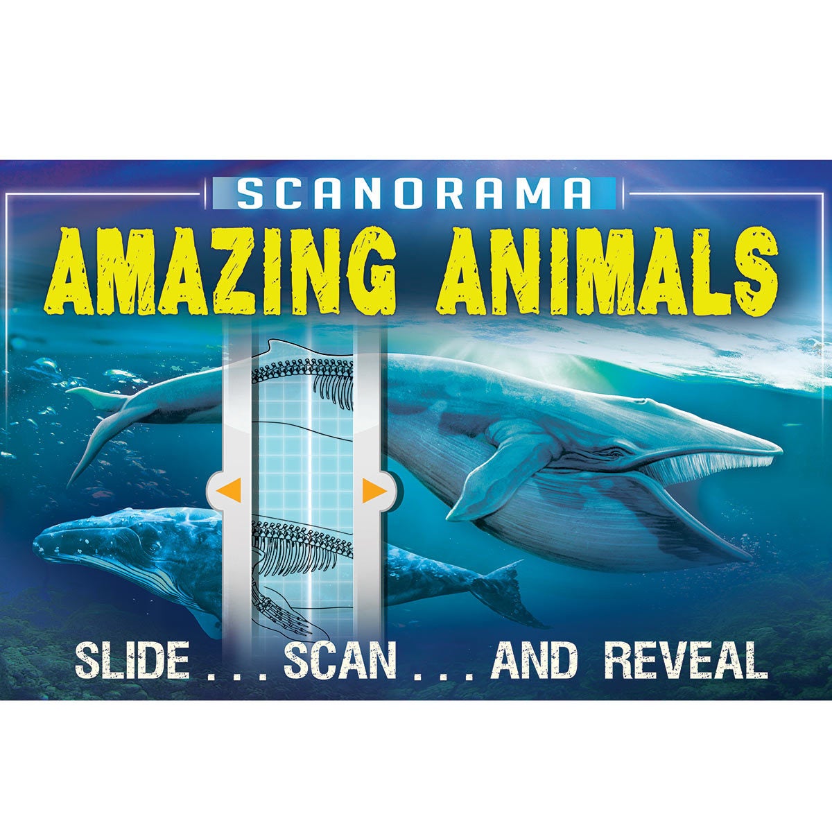 Scanorama interactive children's book with x-ray view, UK version