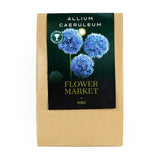 M&S Allium Flowering Caeruleum