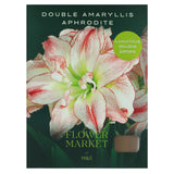 M&S Aphrodite Double Flower Amaryllis Indoor Plant