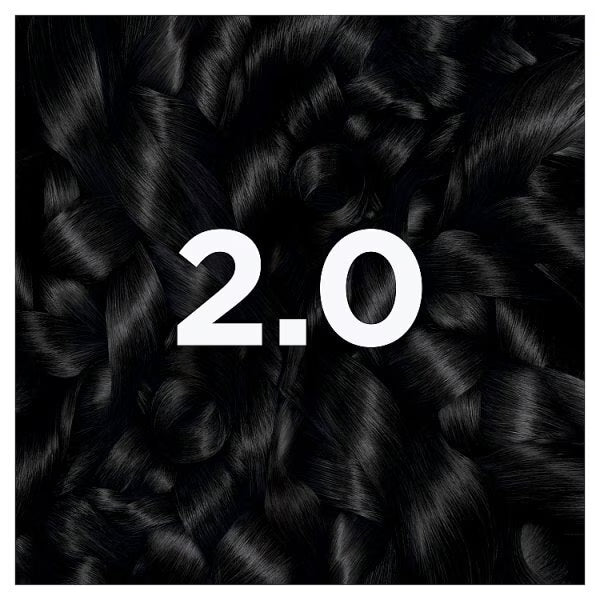 Garnier Permanent Hair Dye Truffle Soft Black 2.0, UK version