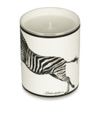 Dolce&Gabbana Lychee and Mulberry Candle 340g - British product