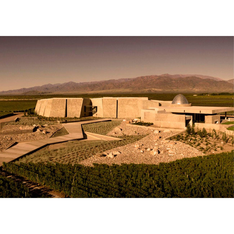Zuccardi Poligonos Malbec red wine 75cl bottle (British brand)