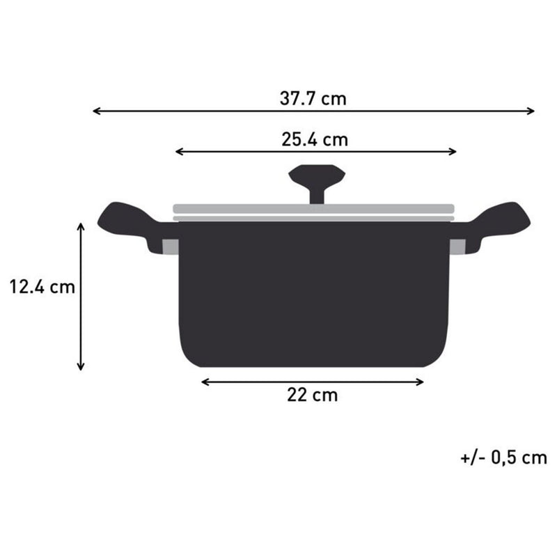 Tefal Titanium Excellence 24cm non-stick stewpot (British brand)