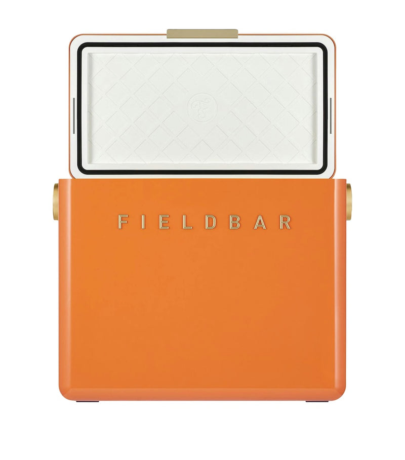 Fieldbar Gin Trunk cooler box 38x45x25cm, UK version