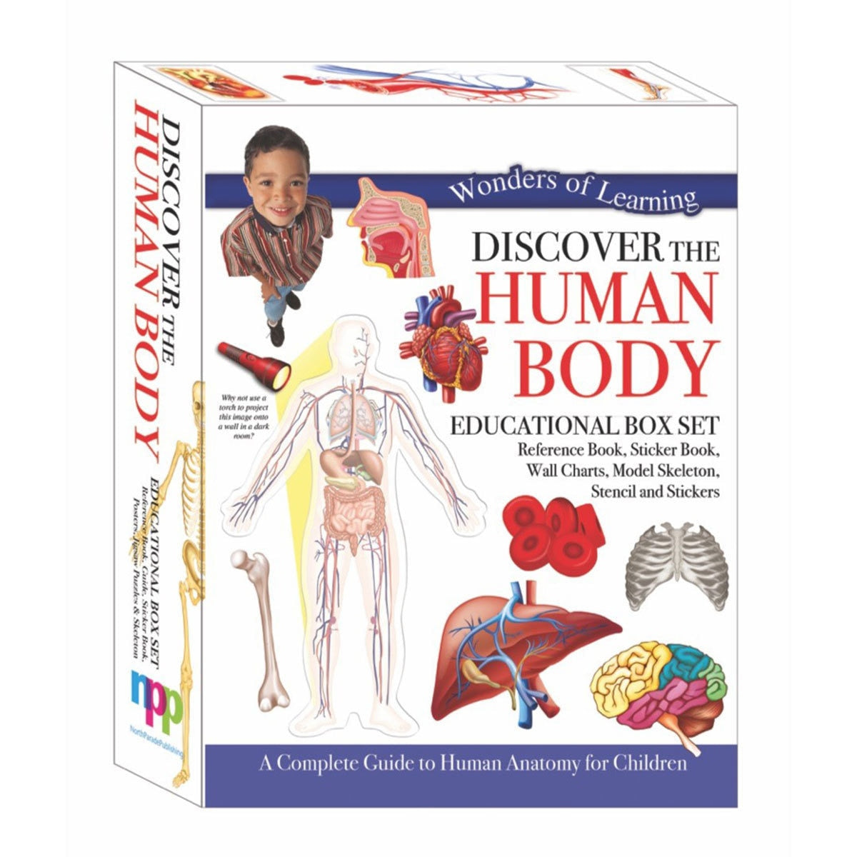 Discover STEM box educational kit ages 8+, imported from the UK