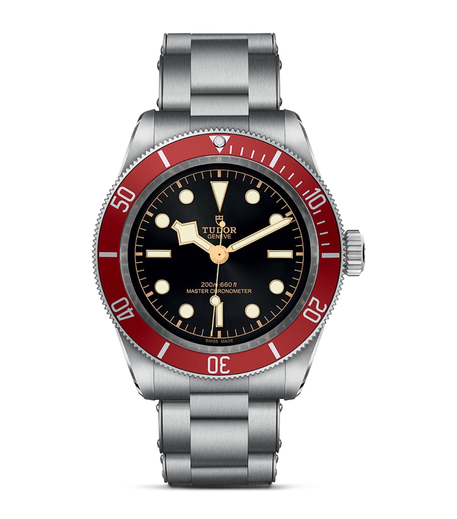 Tudor Black Bay 41mm stainless steel watch (British brand)
