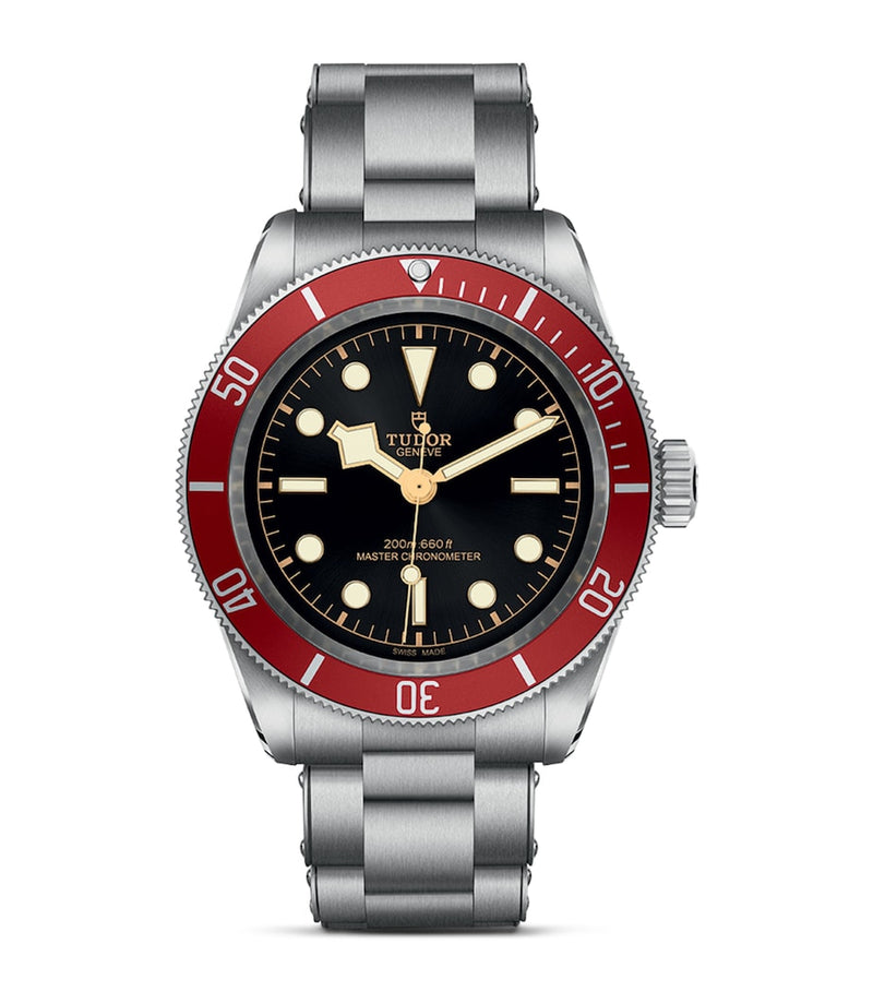 Tudor Black Bay 41mm stainless steel watch (British brand)