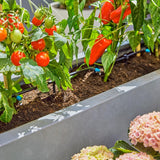 Gardena micro-drip irrigation terrace kit for 30 plants, UK version