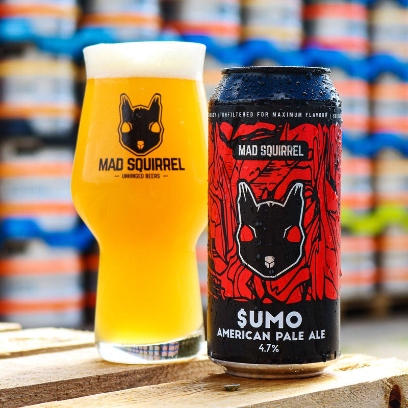 Mad Squirrel craft beer multipack 12 x 440ml, imported from the UK