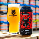 Mad Squirrel craft beer multipack 12 x 440ml, imported from the UK