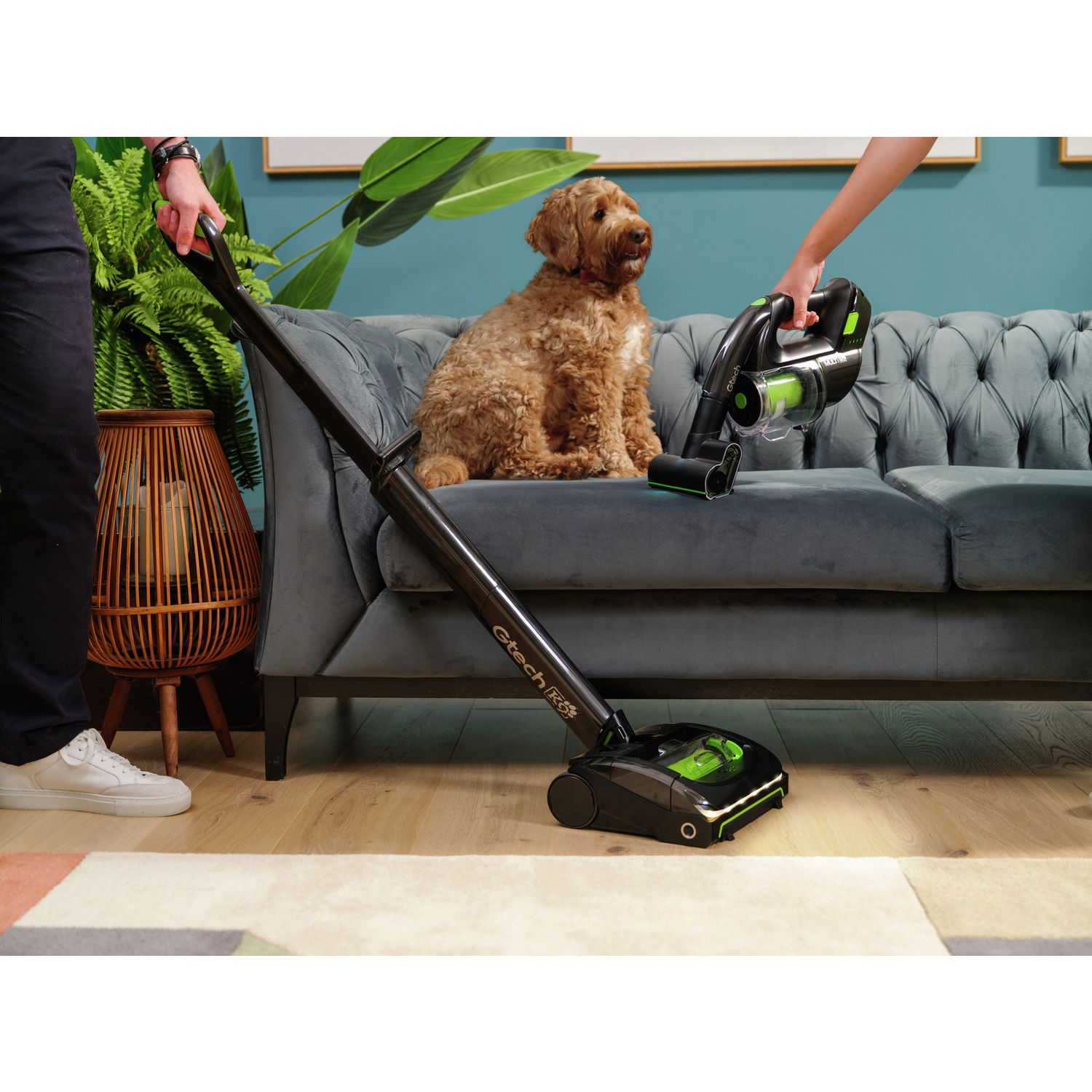 Gtech AirRAM K9 and Multi K9 cordless vacuum cleaner bundle 4.8kg, UK version