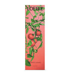 LOEWE Ivy incense sticks 25 sticks, UK version