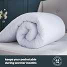 Silentnight Hotel Collection 4.5 Tog Kingsize Duvet (British brand)