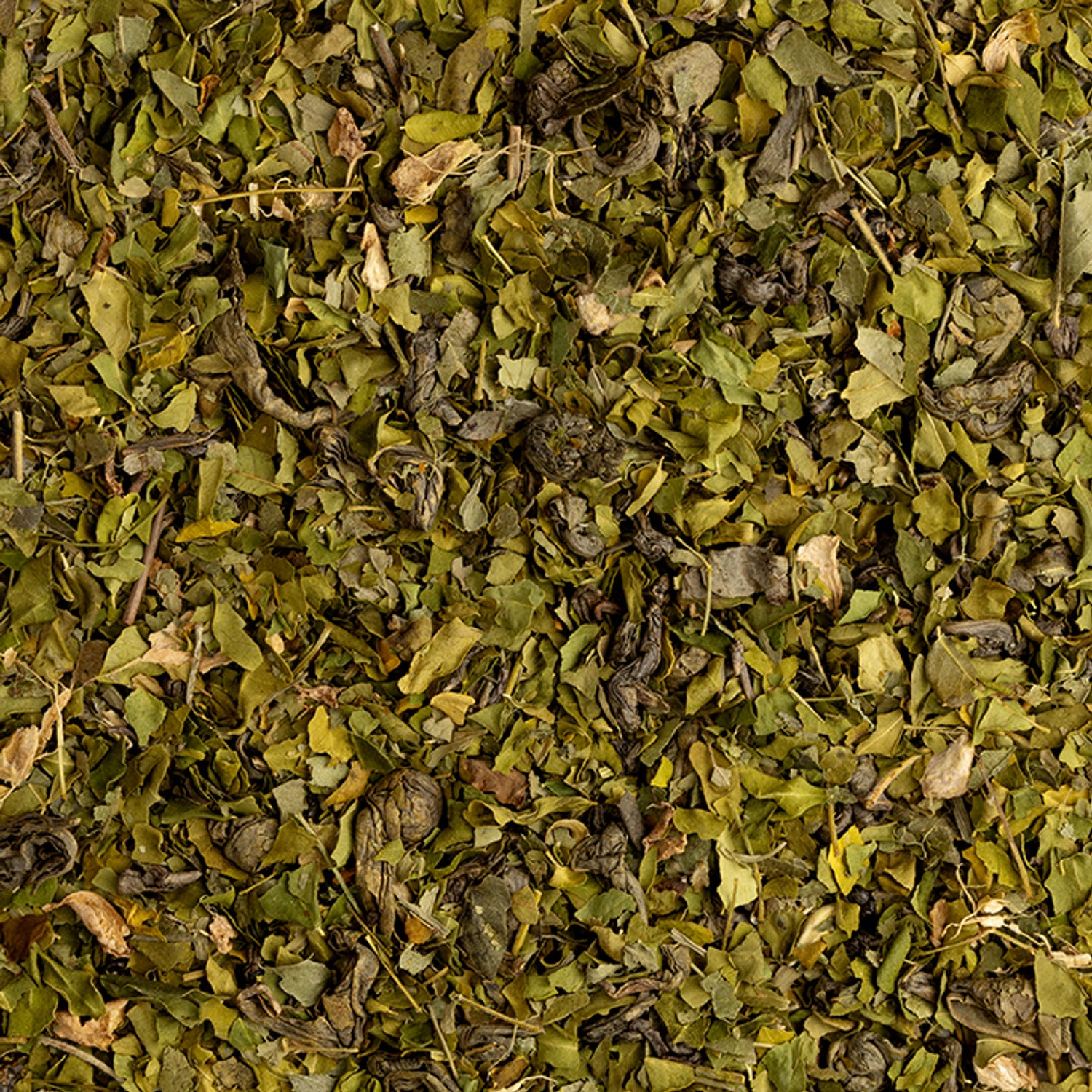 Holland & Barrett Organic Moringa Green Tea 15 bags, UK version