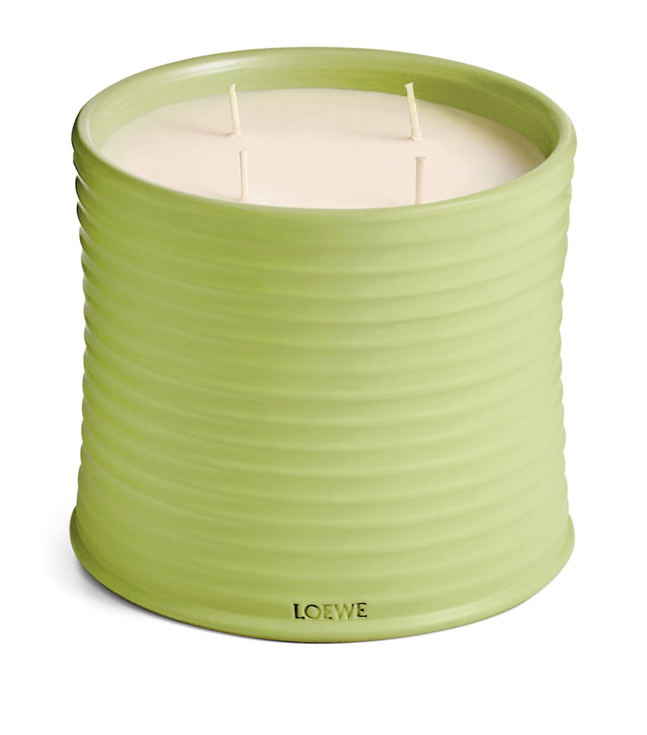LOEWE large cucumber scented candle, UK version