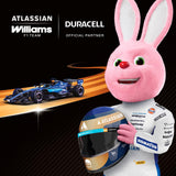 Duracell Plus Alkaline C Batteries, pack of 6