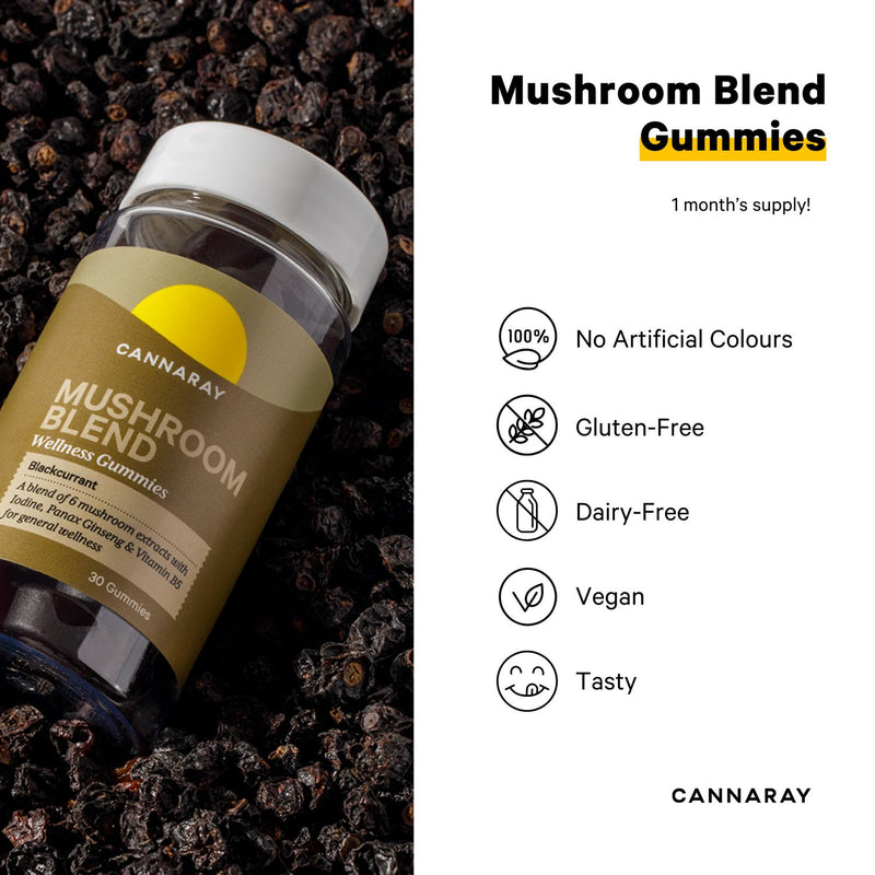 Mushroom Blend Wellness Gummies Blackcurrant Flavour 30 Count Vegan