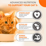 IAMS senior dry cat food 800g, imported from the UK