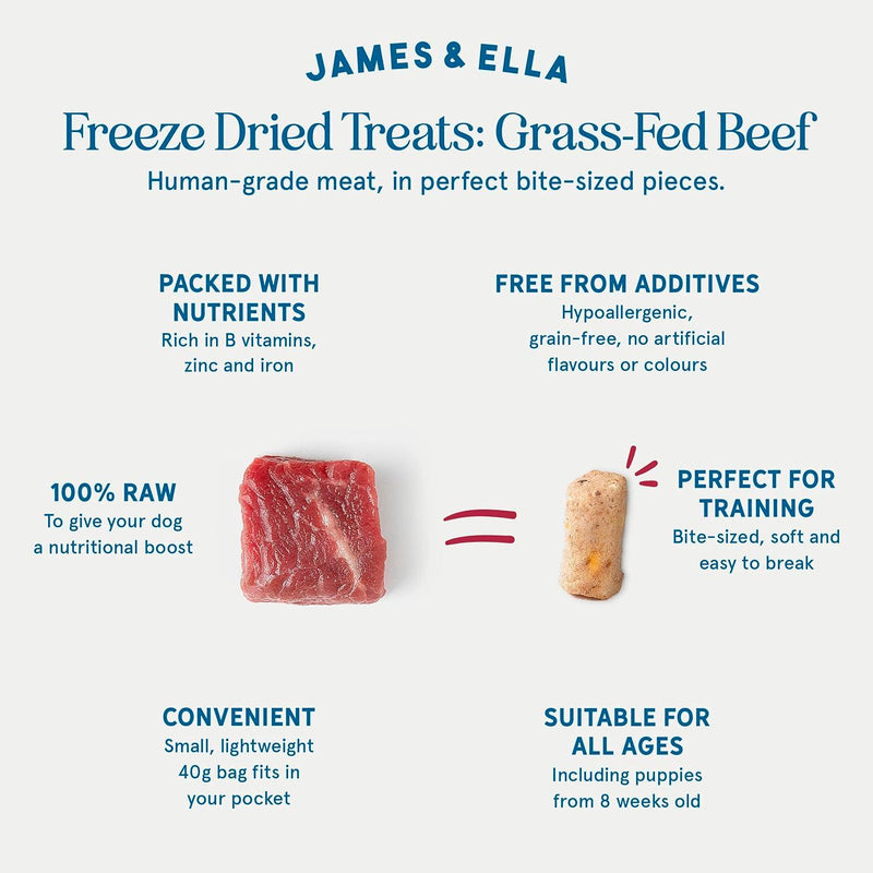 James & Ella freeze dried beef dog treats 40g (British brand)