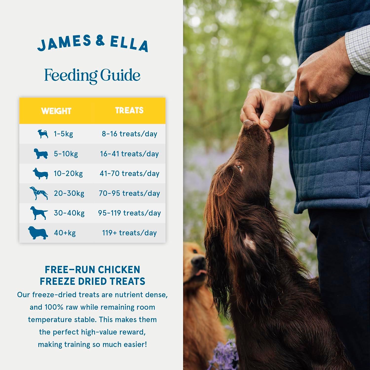 James & Ella freeze-dried chicken dog treats 40g (British brand)