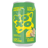 XOXO Sparkling Ginger & Lemon 330ml (British brand)