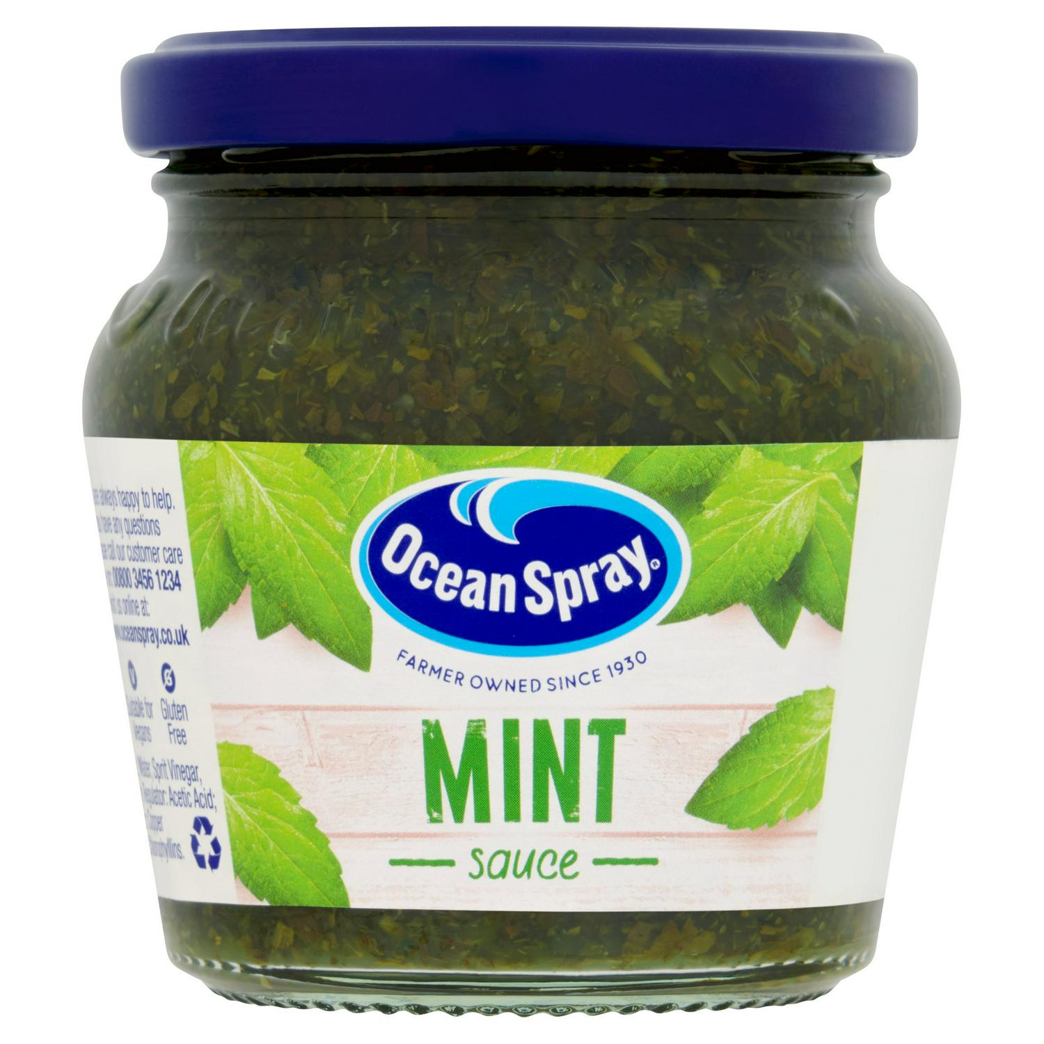 Ocean Spray Mint Sauce 200g glass jar, imported from the UK