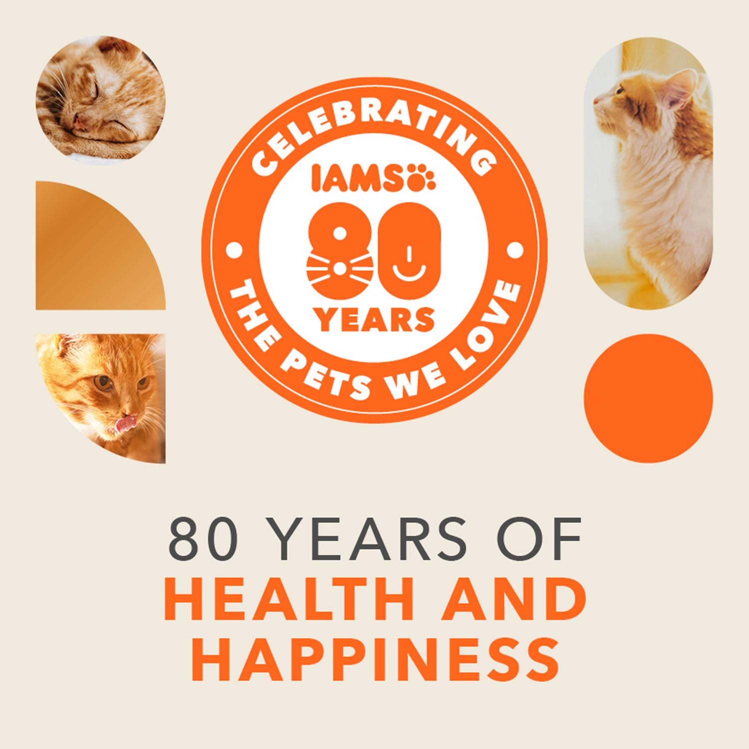IAMS Vitality Senior Dry Cat Food with Ocean Fish 800g, UK version