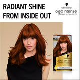 Permanent Hair Colour in Light Copper Brown Shade 5-77, Ammonia-Free with 4 Caring Oils