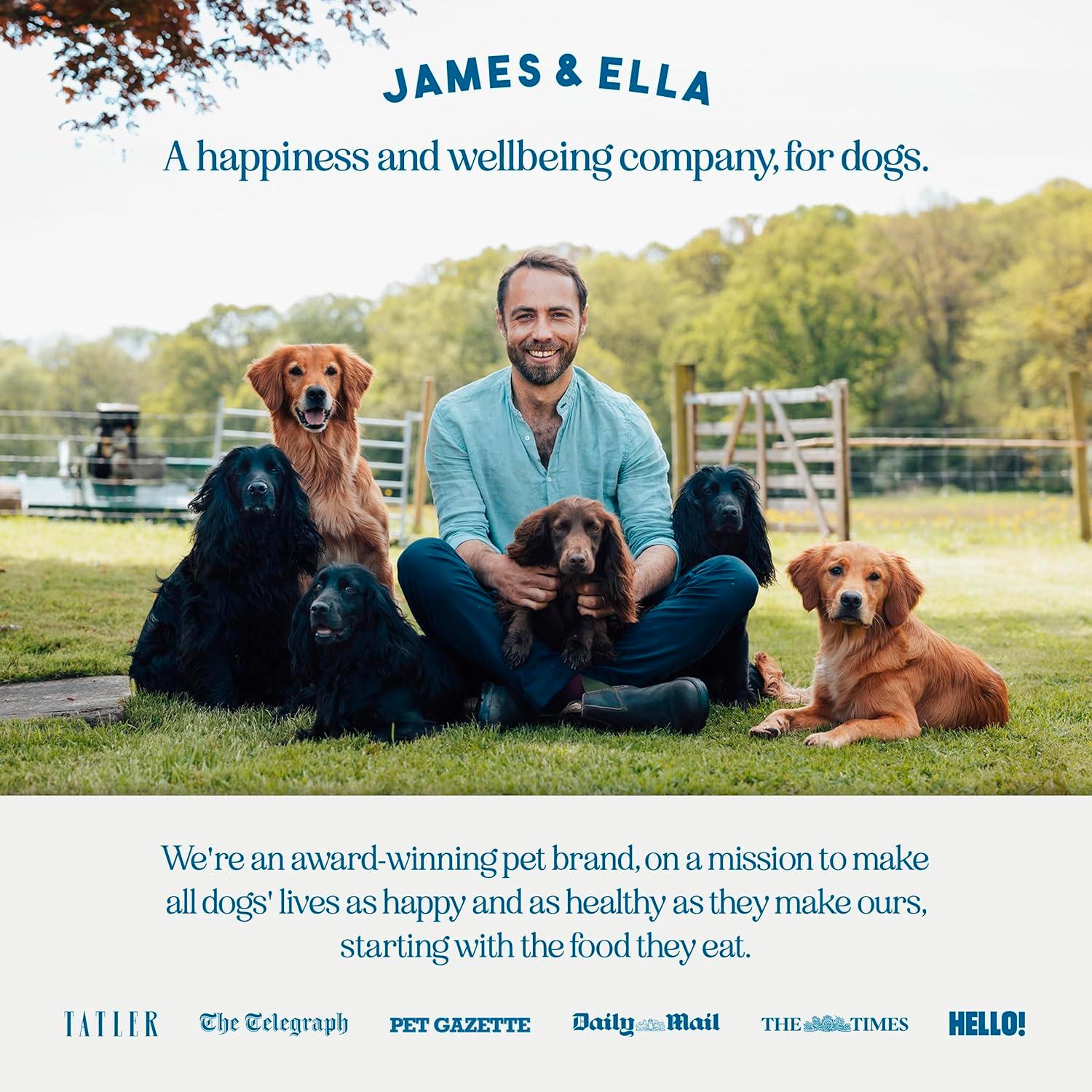 James & Ella dog food Kibble + Raw Grass Fed Beef 1.5kg (British brand)