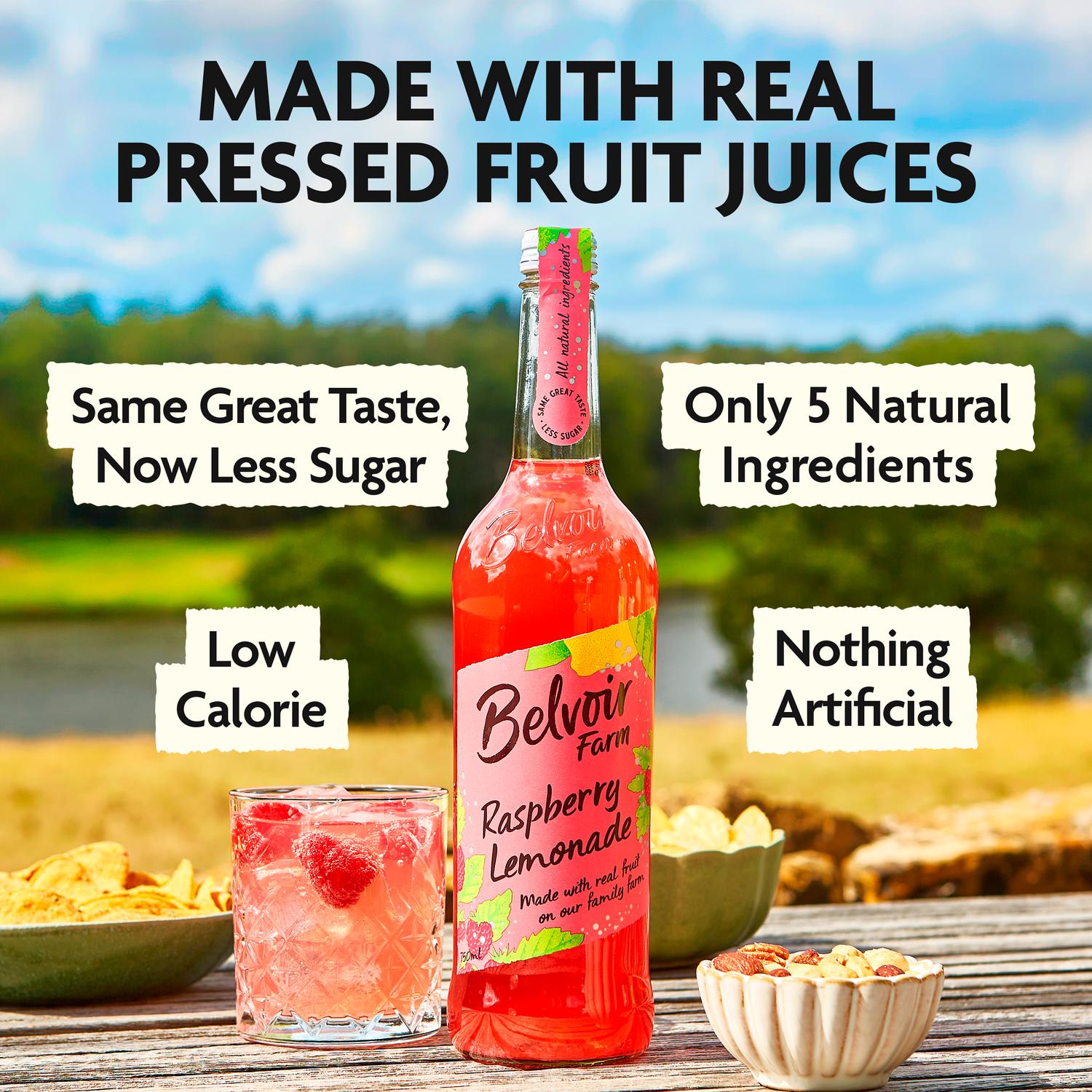 Sparkling Raspberry Lemonade with Real Fruit Juice 750ml
